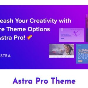 Astra Pro v4.11.4 WordPress Theme
